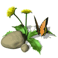 herbs, natural healing, magic
